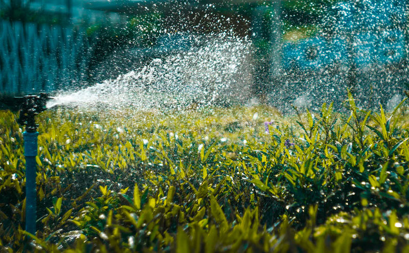 Best Yard Irrigation Systems: Finding and Installing Your Underground Sprinkler System