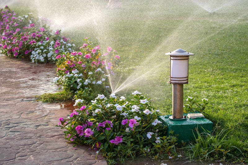 Choosing the Best Irrigation Systems for Your Lawn & Landscape