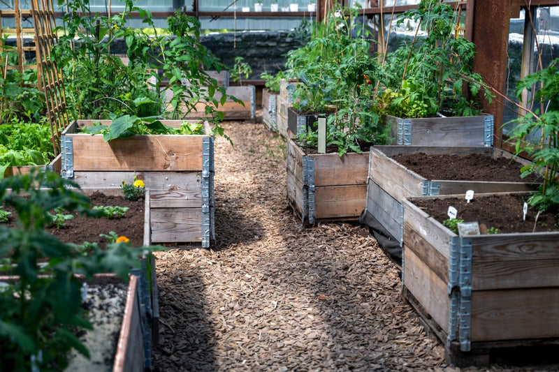 Enhance Your Space: DIY Gardening Projects with Raised Beds & Vertical Gardens