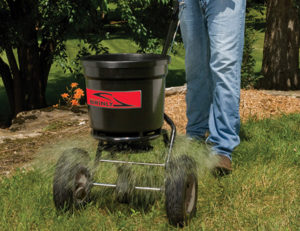 10 Natural Lawn Care Tips & Expert Attachments