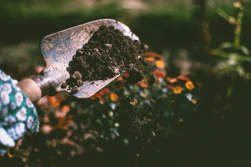 How to Make Compost at Home (Using Kitchen Scraps and Other Natural Waste!)