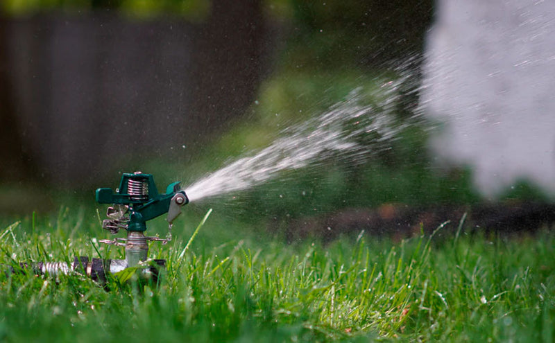 Your Warm Season Grasses - How Much Water Do They Really Need?