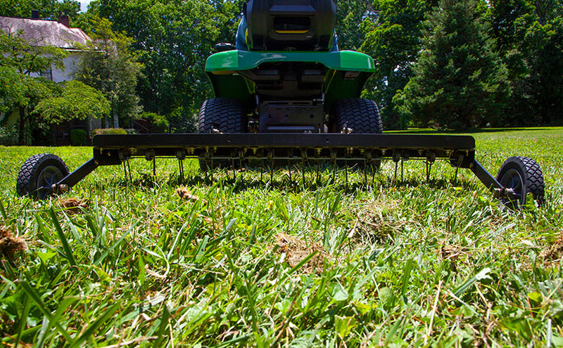 How to Revive a Dead Lawn