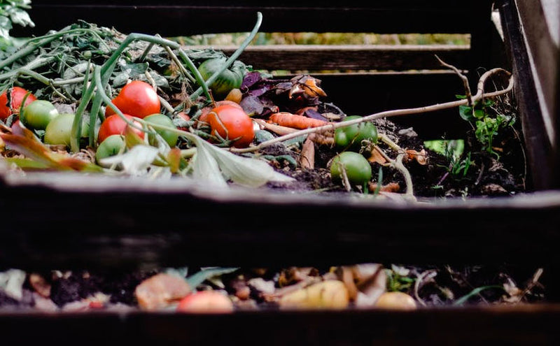 How to Make Compost for Your Backyard Garden & Lawn