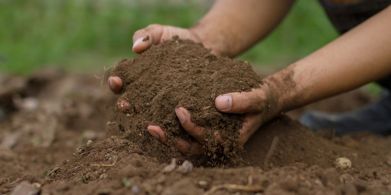 The Essential Guide to Soil Types