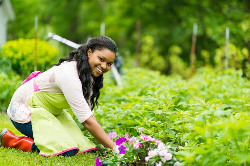 Tips for Sustainable Gardening