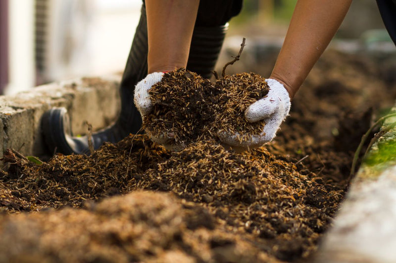 Beginner’s Guide to Composting