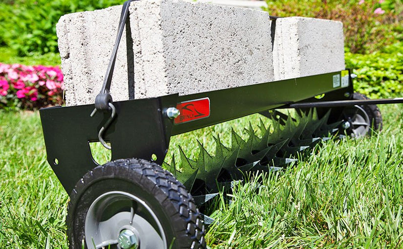 How to Get Your Cool Season Lawn Ready for Spring