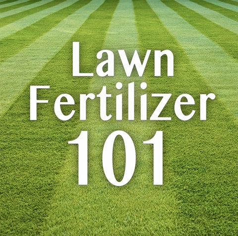 Lawn Fertilizer 101