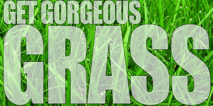 14 Musts for Gorgeous Grass