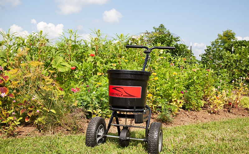 Month-by-Month Lawn Care Calendar for Cool Season Grasses