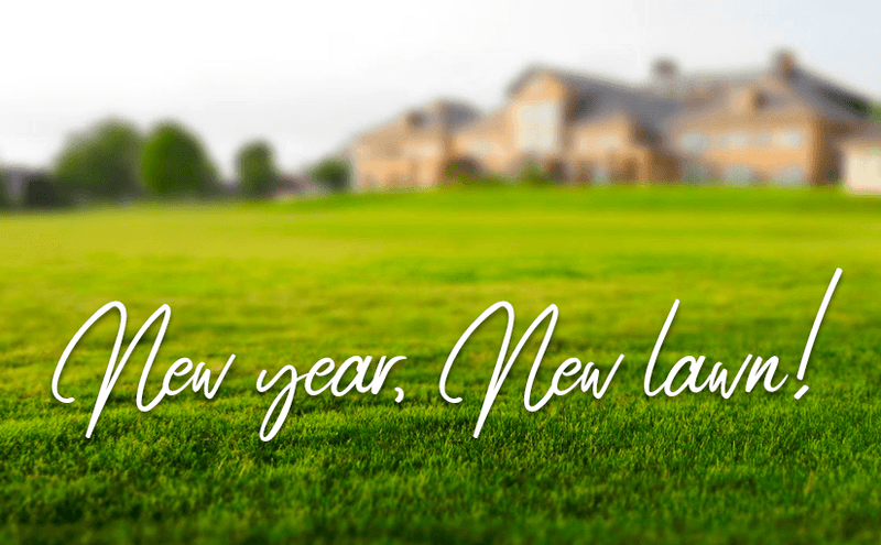 New Year, New Lawn: Must-Have Equipment for Lawn Improvement