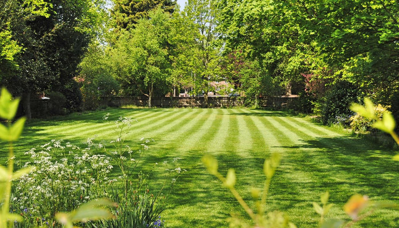 2024 Lawn Care: 10+ Tips & Ideas for the Perfect Spring Lawn