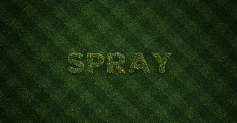 That's right - Say it and Spray it!