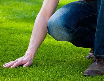 Lawn Irrigation That Saves Water & Money