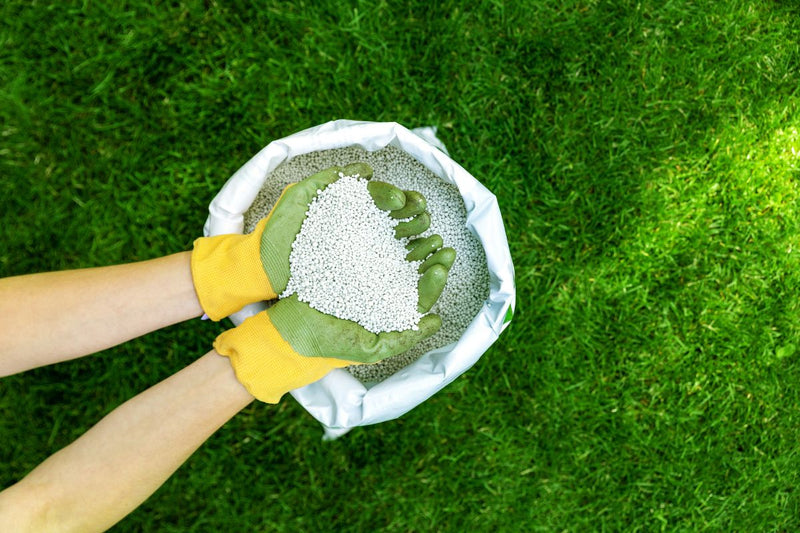 Adding Lime to an Acidic Lawn