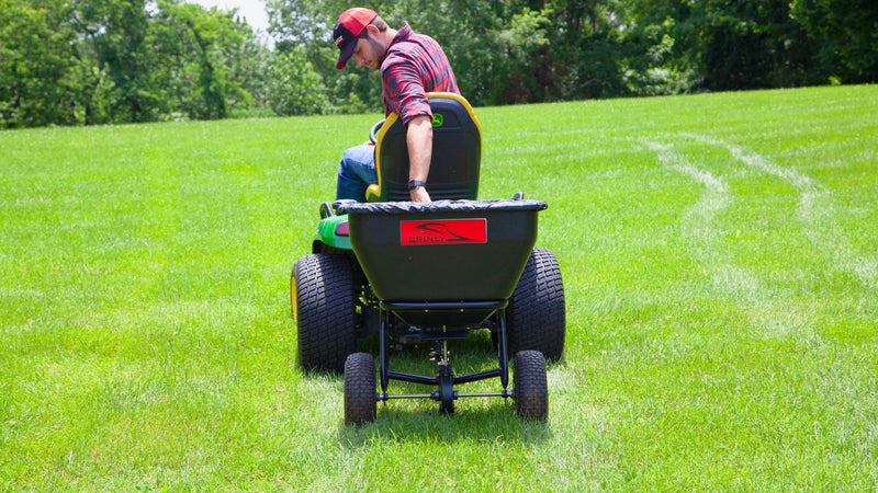 5 Types of Grass for Your Lawn