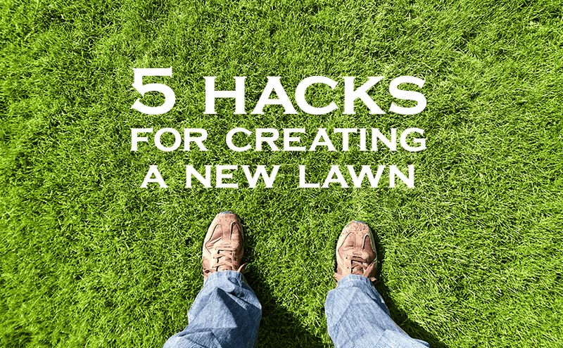 5 Hacks for a Creating a New Lawn