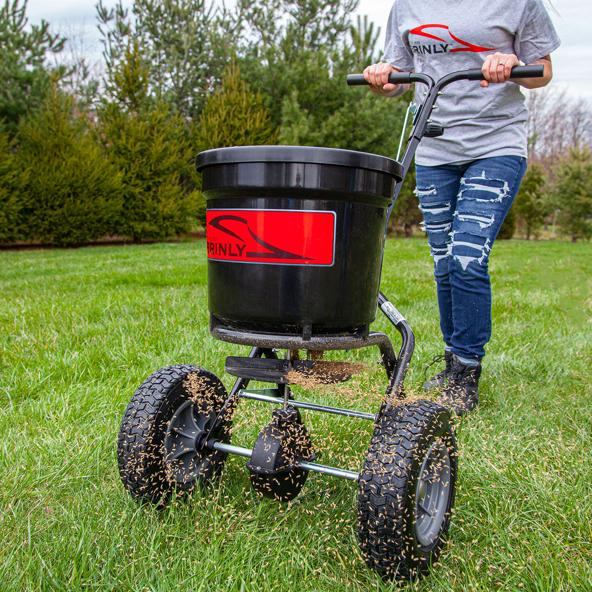 A person in ripped jeans and a gray shirt pushes the Brinly Parts 50 lb. Push Spreader | P20-500BH, with its large wheels and red label, efficiently distributing fertilizer across the grass as tall trees line the background.