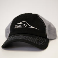 The Brinly Parts Gray & Black Baseball Cap features an embroidered logo and SINCE 1839 BRINLY in white on the front, with white stitching on the brim. Its sides are breathable mesh, and its displayed on a white surface.