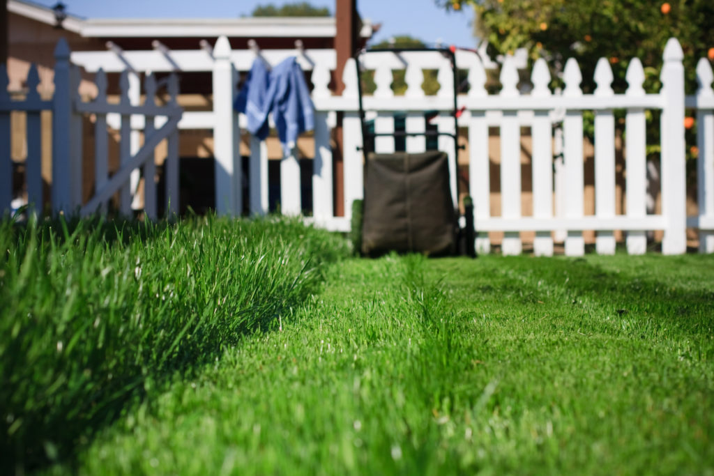Summer Lawn Care Quick-tips